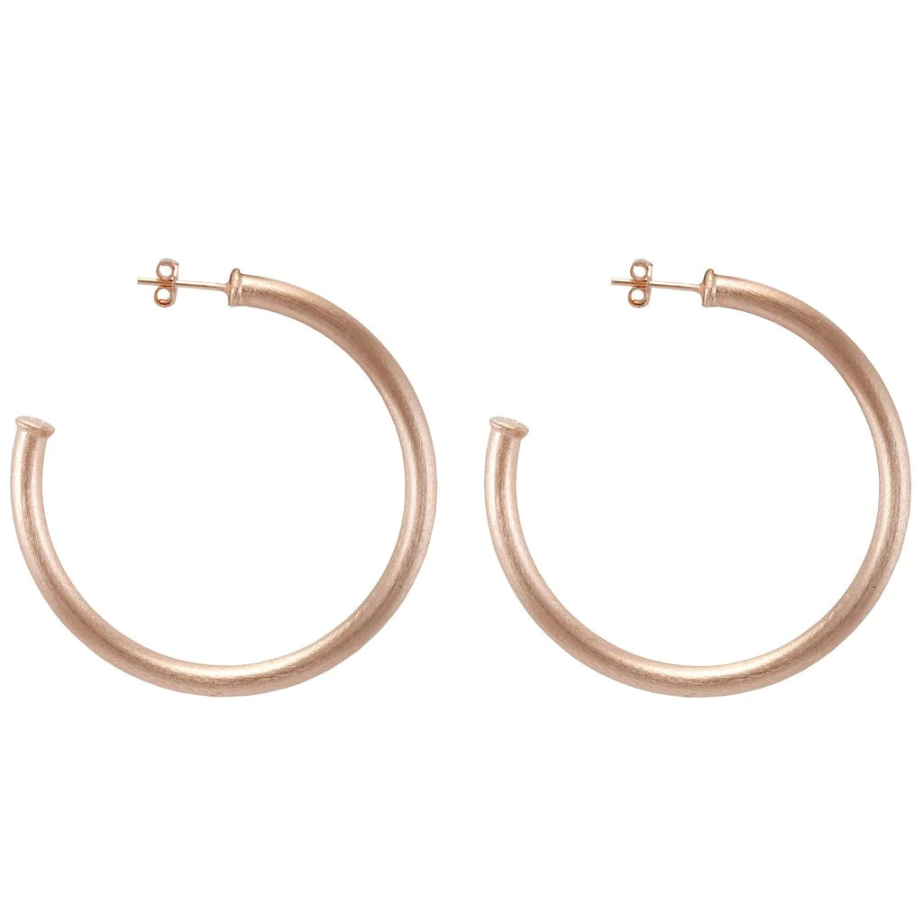 Sheila Fajl Everybody's Favorite Small Brushed Champagne Hoops